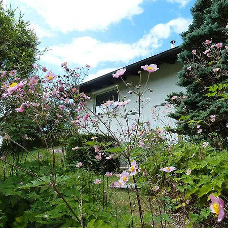 Schoenach Hébergement de vacances